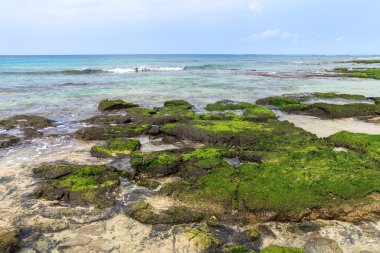 Yosun deniz, Boavista - Cape Verde