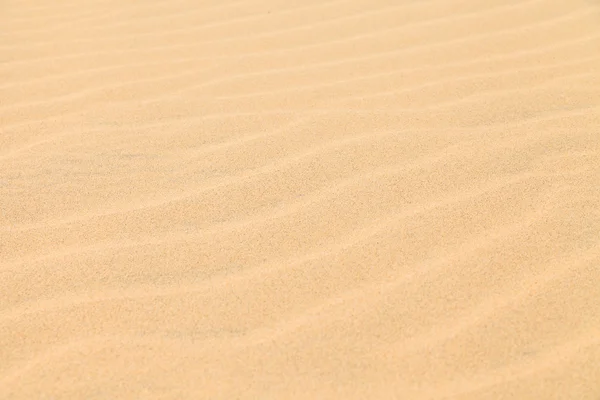 Texture Désert de dunes de sable à Boavista, Cap Vert — Photo