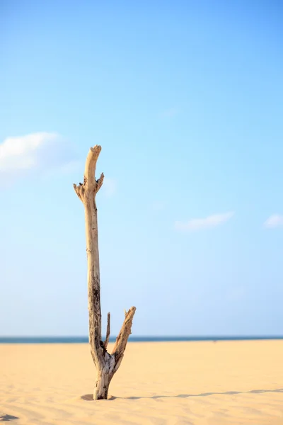 Landscape with beach, the sea and the clouds in the blue sky, Bo — Stock Photo, Image