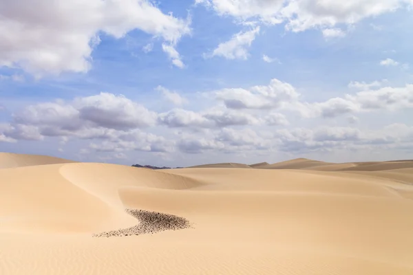 砂の砂漠でヴィアナ ボアビスタ、カーボベルデ — ストック写真