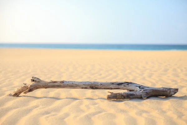 Paesaggio con spiaggia, il mare e le nuvole nel cielo blu, Bo Immagini Stock Royalty Free