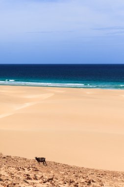 Yatay, plaj, deniz ve mavi gökyüzü, Bo bulutlarda