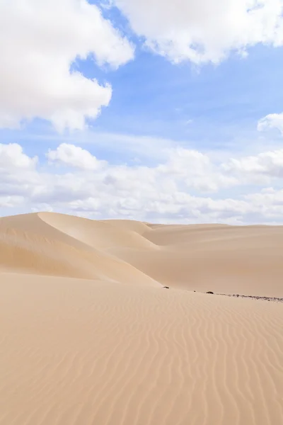 모래 사막에 비아 나 Boavista, 케이프 베르데 — 스톡 사진