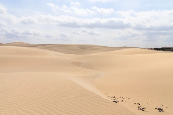 Deserto di sabbia a Viana Boavista, Capo Verde Immagine Stock