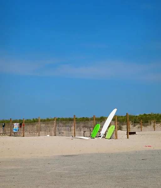 Tablas de surf en la playa — Foto de Stock