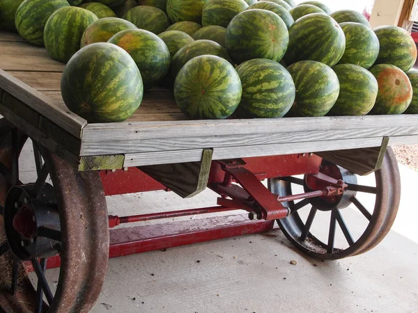 Mooie Levendige Groene Watermeloenen Worden Opgestapeld Achterkant Van Een Vintage — Stockfoto