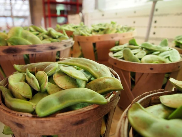 Lima Fagioli in Cesti di Bushel — Foto Stock