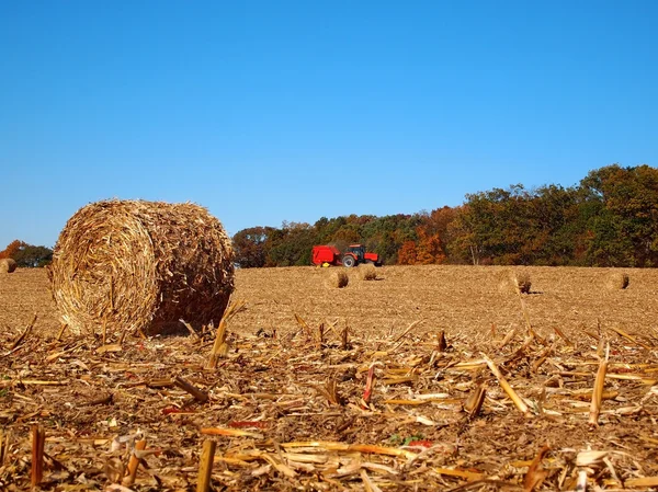 Sušený Round Bale v kukuřičném poli — Stock fotografie