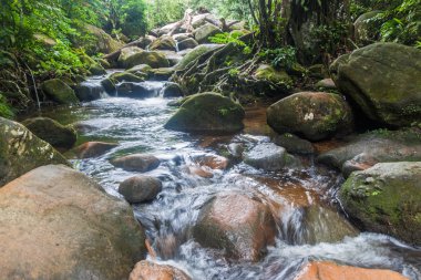 Stream in a jungle near Trindade village clipart