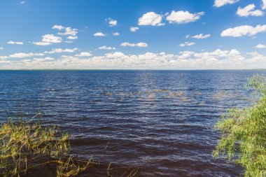 Doğada sulak Esteros del Ibera rezerv