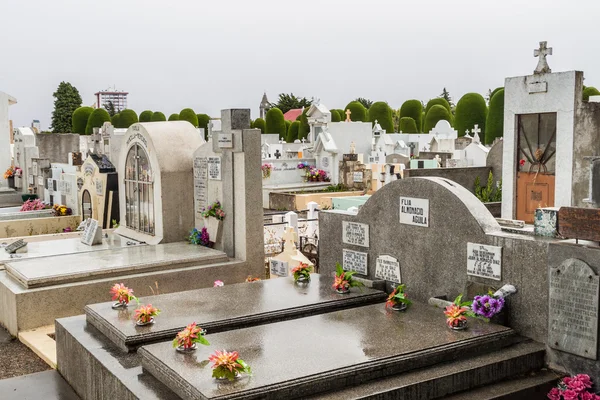 Cemetery in Punta Arenas, Chile — Stock Photo, Image