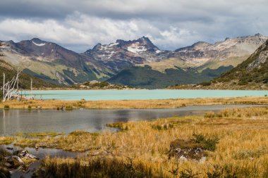 Arjantin Tierra del Fuego