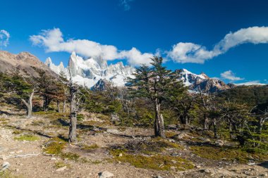 Fitz roy dağ 