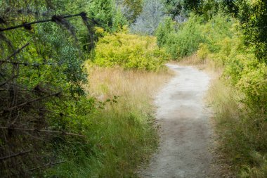 Arjantin trekking iz