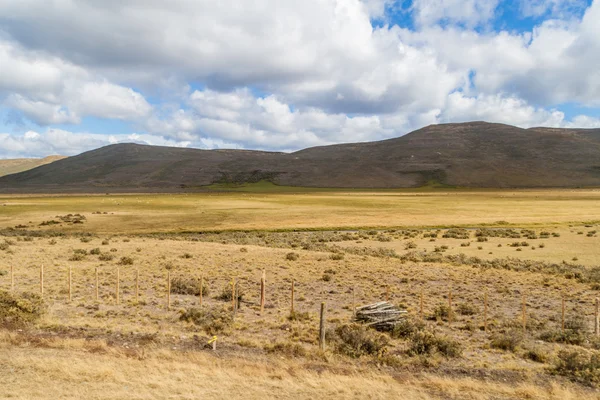 Campo de Tierra del Fuego ilha — Fotografia de Stock