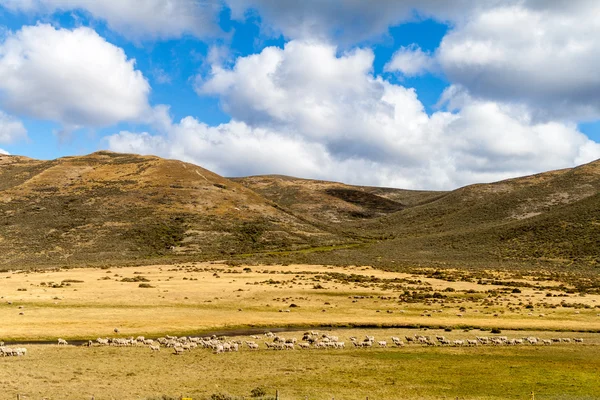 Krajina ostrova Tierra del Fuego — Stock fotografie