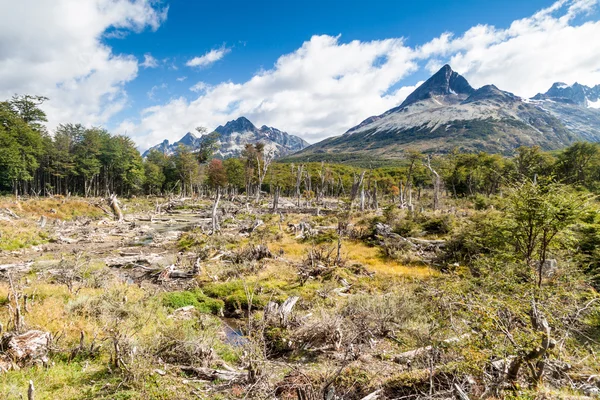 在火地岛山 — 图库照片