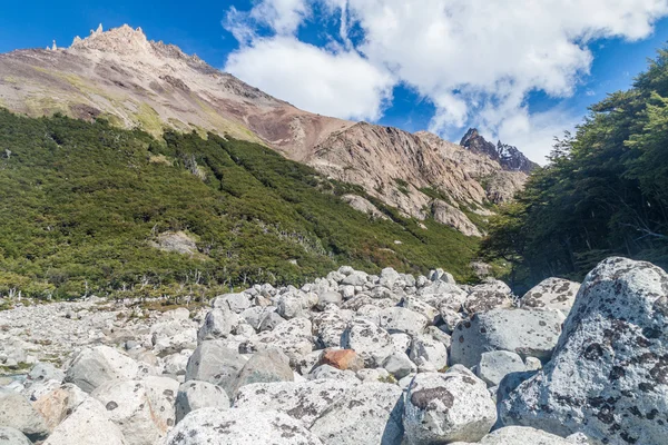 Landschaft des Nationalparks los glaciares — Stockfoto