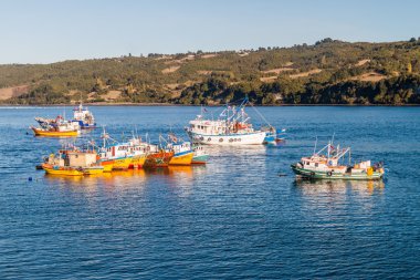 Balıkçı tekneleri Dalcahue Köyü, Şili