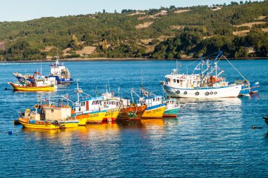 Balıkçı tekneleri Dalcahue Köyü, Şili