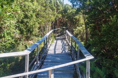 Boardwalk Chiloe Milli Parkı'nda