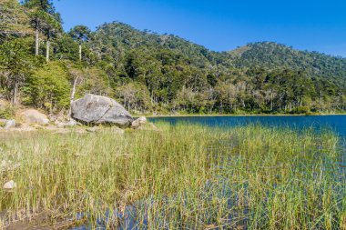 Lago Verde Gölü Milli Parkı Huerquehue