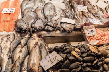Taze balık ve deniz ürünleri.