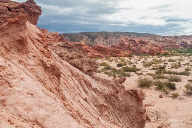 Quebrada de Cafayate Vadisi