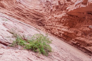 Garganta del Diablo denilen kaya oluşumu
