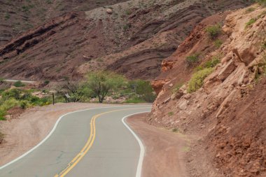 Yolda Quebrada de Cafayate valley