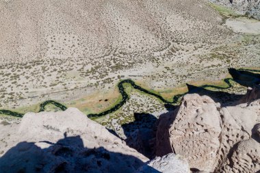 Bolivya kanyonda anakonda