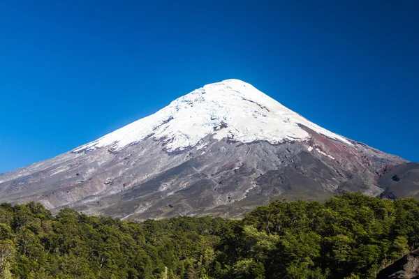 Θέα ηφαίστειο Osorno — Φωτογραφία Αρχείου
