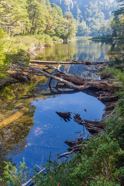 Lago Chico lago no Parque Nacional Huerquehue — Fotografia de Stock
