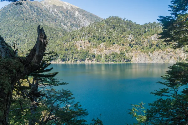 Lac Laguna Toro dans le parc national Huerquehue — Photo