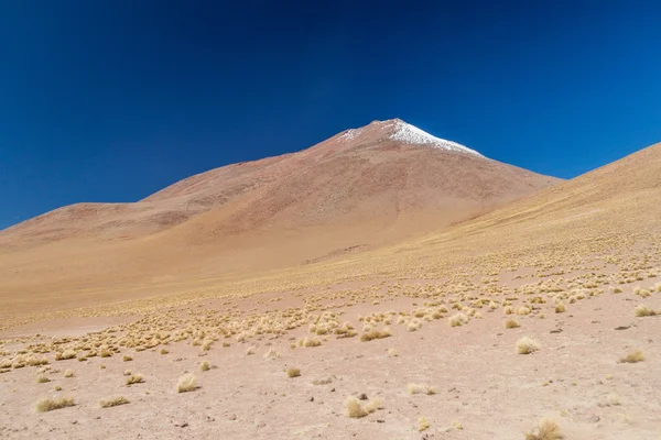 Paisaje del Altiplano boliviano — Foto de Stock