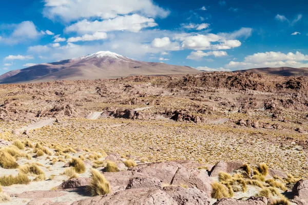 Пейзаж боливийского Альтиплано — стоковое фото