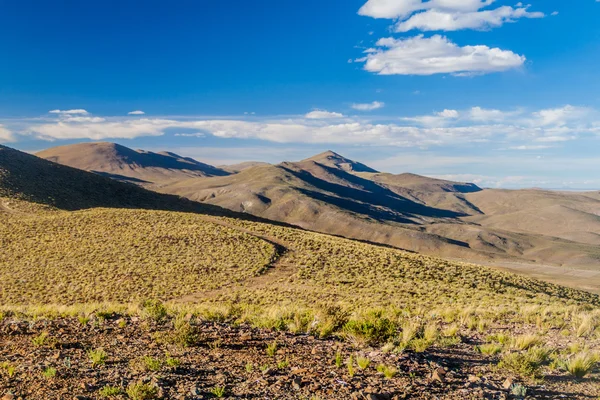 Landscape of bolivian Altiplano — Stock Photo, Image