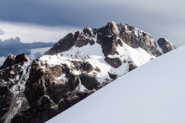 Cordillera Real Sıradağları