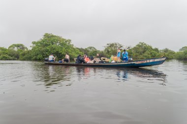 Bir yunus tur izlerken turistlere