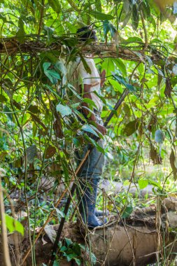 Bir ormanda yerli Tur Rehberi 