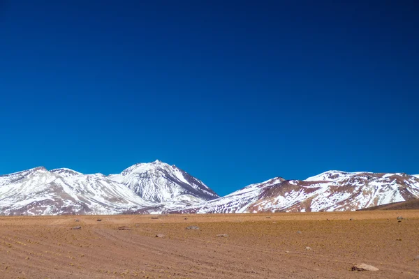 サルバドール ・ ダリの砂漠 — ストック写真
