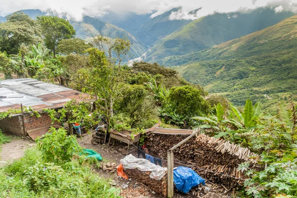 Casa de pueblo pequeña cerca de Coroico —  Fotos de Stock