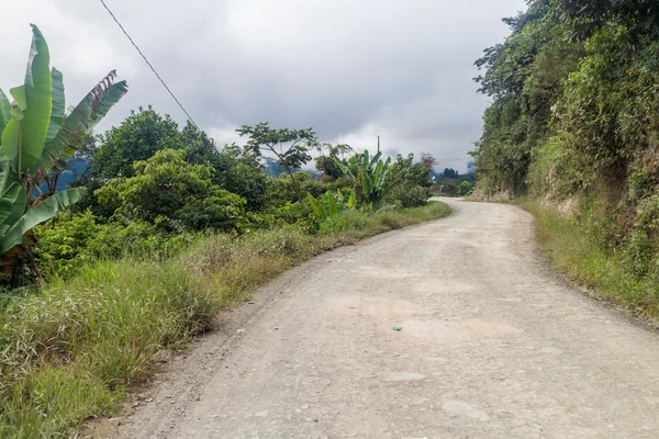 Road near Coroico in Yungas mountains — Stock Photo, Image