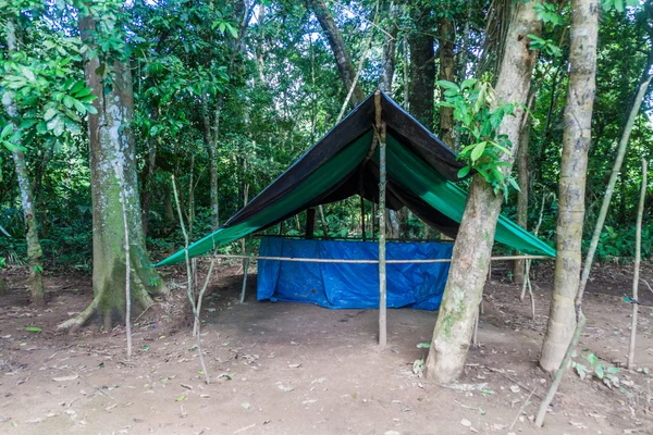 Jungle camp for tourists — Stock Photo, Image