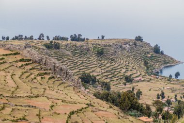 Amantani adada tarım teraslarının