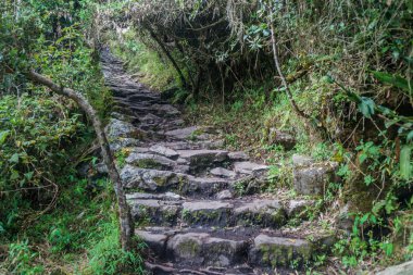 Machu Picchu Dağı'na giden dik iz