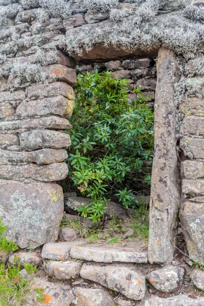 Door in a ruined house