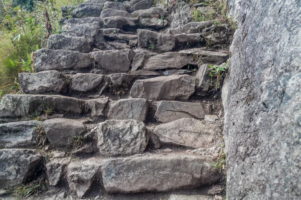 Steep trail leading to Machu Picchu mountain — Stock Photo, Image