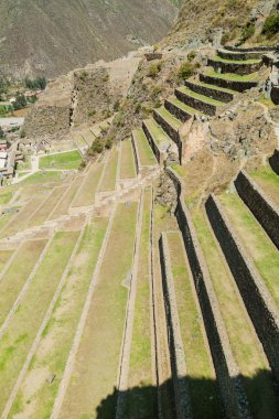 İnka'nın tarım teraslarının