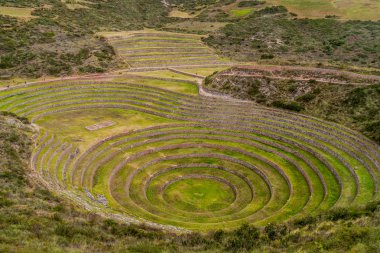 Tarım Moray teraslama